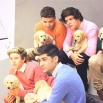 Gli One Direction in versione bravi ragazzi per Wonderland - Thumbnail