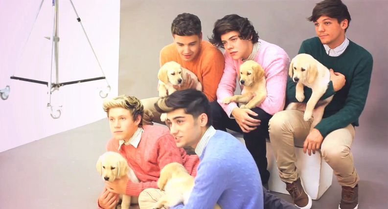 Gli One Direction in versione bravi ragazzi per Wonderland