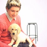 Gli One Direction in versione bravi ragazzi per Wonderland - Thumbnail