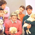 Gli One Direction in versione bravi ragazzi per Wonderland - Thumbnail