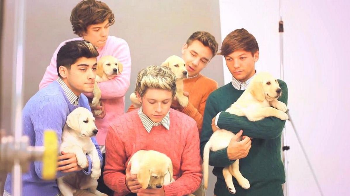 Gli One Direction in versione bravi ragazzi per Wonderland