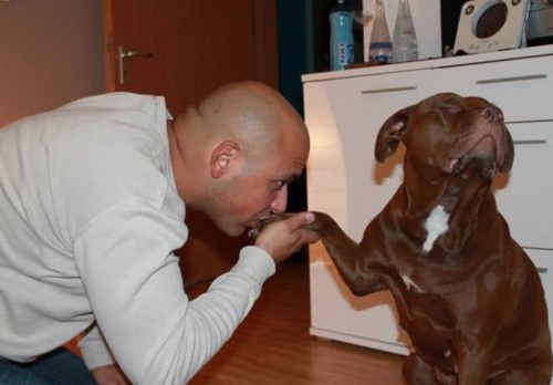 Uomini e i loro cani