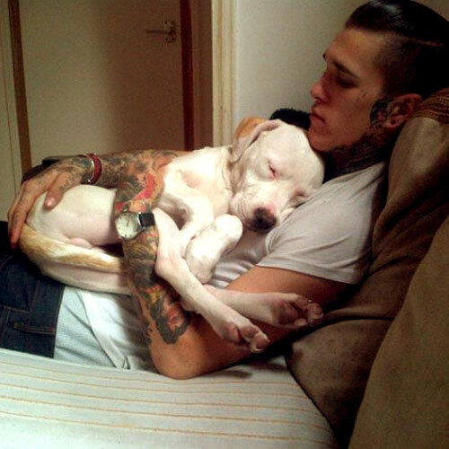 Uomini e i loro cani