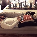 Uomini e i loro cani - Thumbnail
