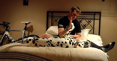 Uomini e i loro cani