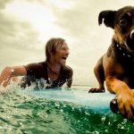 Uomini e i loro cani - Thumbnail