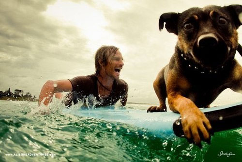 Uomini e i loro cani