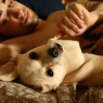 Uomini e i loro cani - Thumbnail