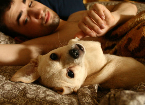 Uomini e i loro cani
