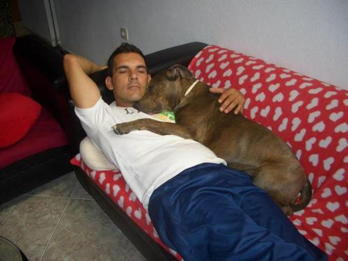 Uomini e i loro cani