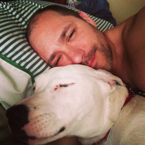 Uomini e i loro cani