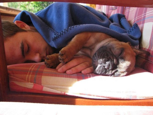 Uomini e i loro cani