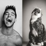 Gatti in posa, come i modelli, gli attori e gli sportivi famosi - Thumbnail