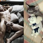 Gatti in posa, come i modelli, gli attori e gli sportivi famosi - Thumbnail