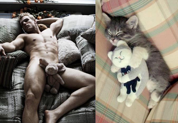Gatti in posa, come i modelli, gli attori e gli sportivi famosi