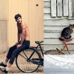Gatti in posa, come i modelli, gli attori e gli sportivi famosi - Thumbnail
