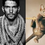 Gatti in posa, come i modelli, gli attori e gli sportivi famosi - Thumbnail