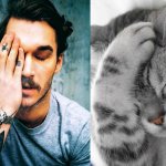 Gatti in posa, come i modelli, gli attori e gli sportivi famosi - Thumbnail