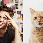 Gatti in posa, come i modelli, gli attori e gli sportivi famosi - Thumbnail