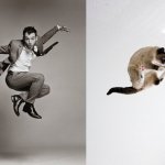 Gatti in posa, come i modelli, gli attori e gli sportivi famosi - Thumbnail