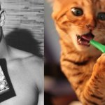Gatti in posa, come i modelli, gli attori e gli sportivi famosi - Thumbnail
