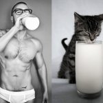 Gatti in posa, come i modelli, gli attori e gli sportivi famosi - Thumbnail