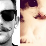 Gatti in posa, come i modelli, gli attori e gli sportivi famosi - Thumbnail