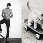 Gatti in posa, come i modelli, gli attori e gli sportivi famosi - Thumbnail