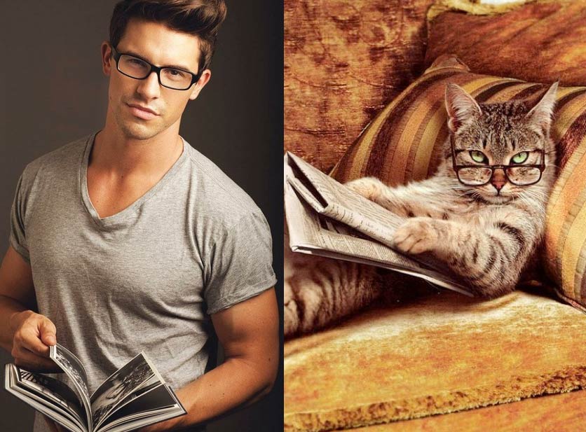 Gatti in posa, come i modelli, gli attori e gli sportivi famosi