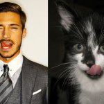 Gatti in posa, come i modelli, gli attori e gli sportivi famosi - Thumbnail