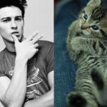 Gatti in posa, come i modelli, gli attori e gli sportivi famosi - Thumbnail