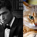 Gatti in posa, come i modelli, gli attori e gli sportivi famosi - Thumbnail