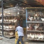 Reportage Iran - Thumbnail