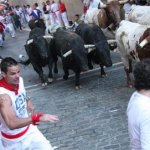 Pazzi per i tori spagnoli - Thumbnail
