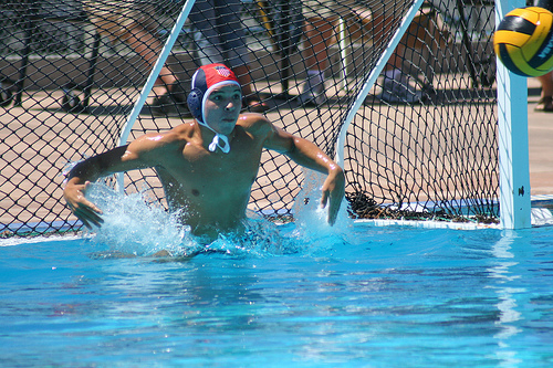Sport - La pallanuoto