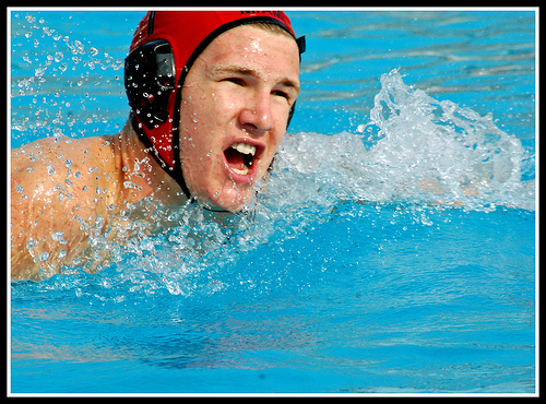 Sport - La pallanuoto