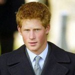 Il principino Harry - Thumbnail