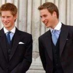 Il principino Harry - Thumbnail