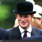 Il principino Harry - Thumbnail