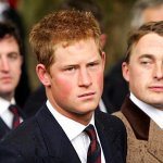 Il principino Harry - Thumbnail