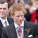 Il principino Harry - Thumbnail