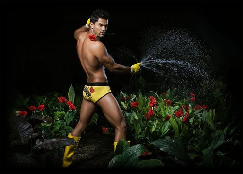 Pipe, l'intimo cool
