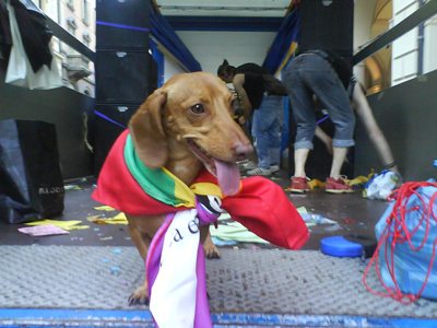Bologna Pride 2008 - Le vostre foto_7