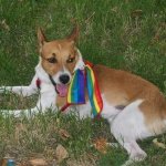 Bologna Pride 2008 - Le vostre foto_9 - Thumbnail