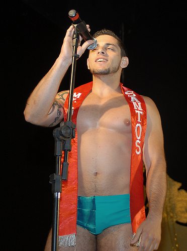 Mr gay Brazil 2008 - I concorrenti