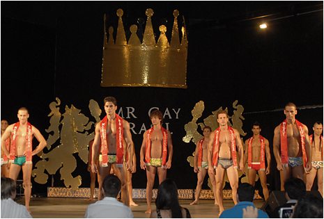 Mr gay Brazil 2008 - I concorrenti