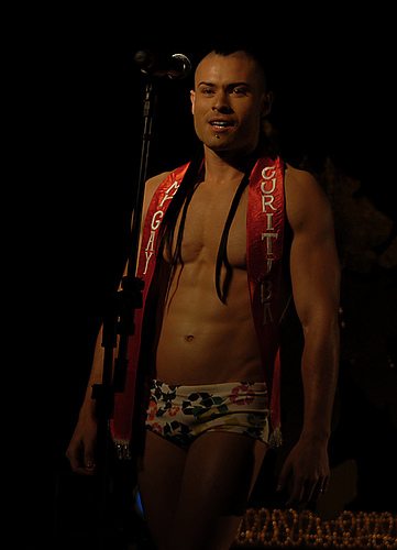 Mr gay Brazil 2008 - I concorrenti