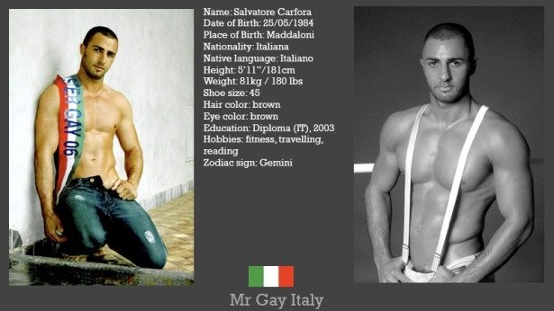 Mr.Gay International: i concorrenti