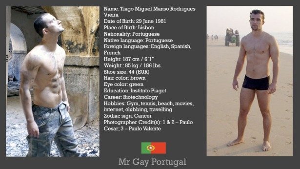 Mr.Gay International: i concorrenti