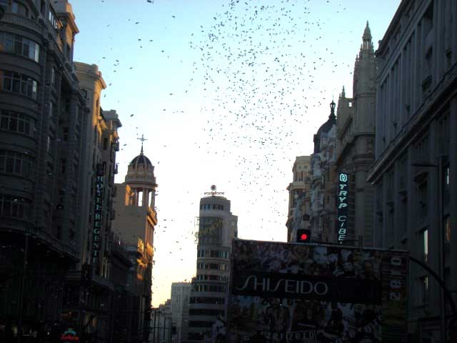 Pride Madrid 08 - Corteo